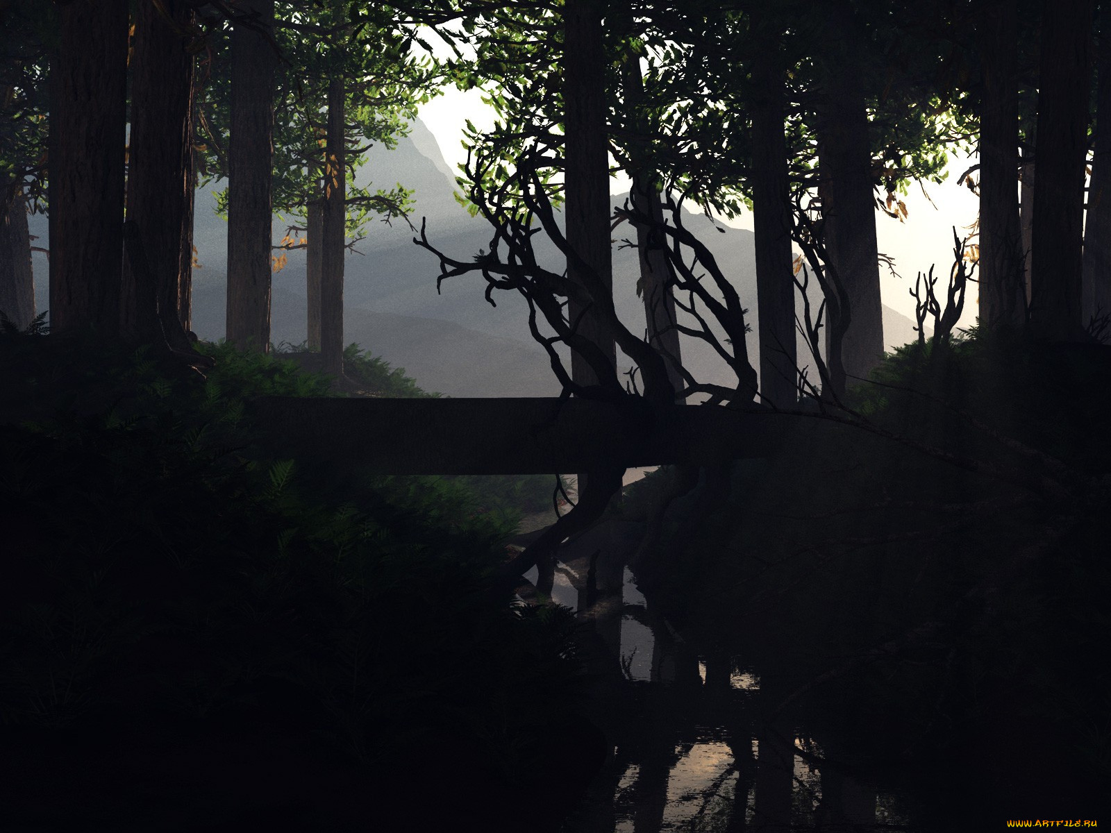 3, , nature, landscape, , , 